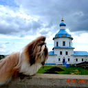 Яна Прохорова