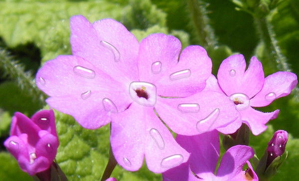 Интернет Магазин Детской Одежды