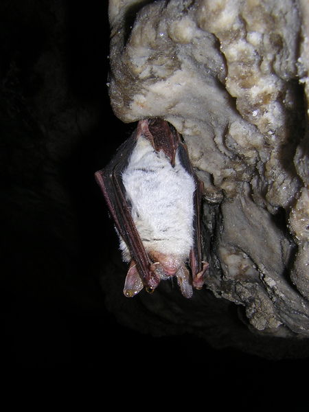 Сергей Петров