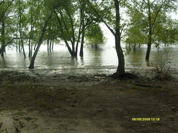 Константин Бакликов