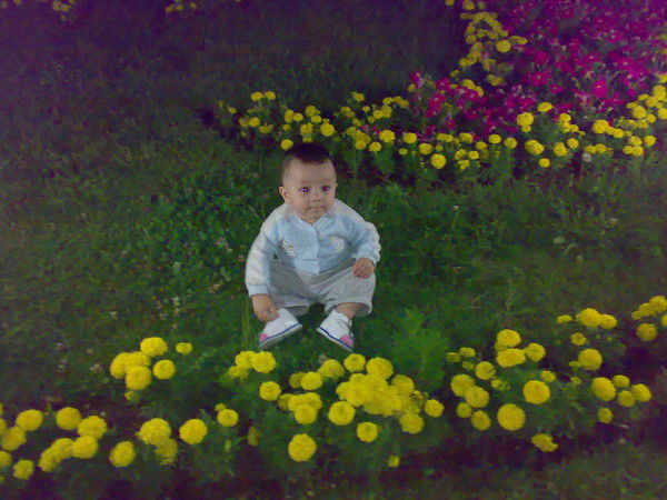 Зафар Мирсадыков