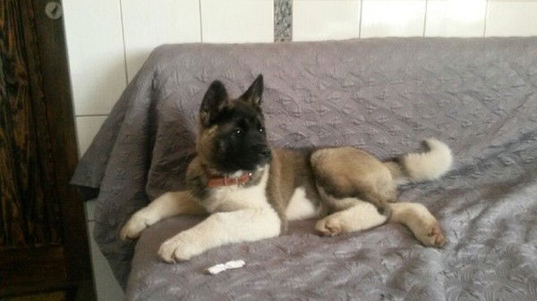 Алексей Кривонос