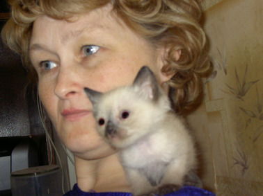 Елена Степанова