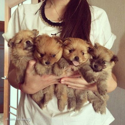 Марина Мулухова