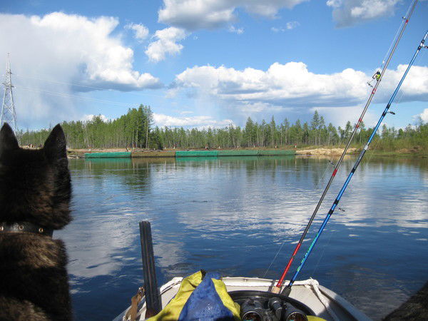 Сергей Лайвин