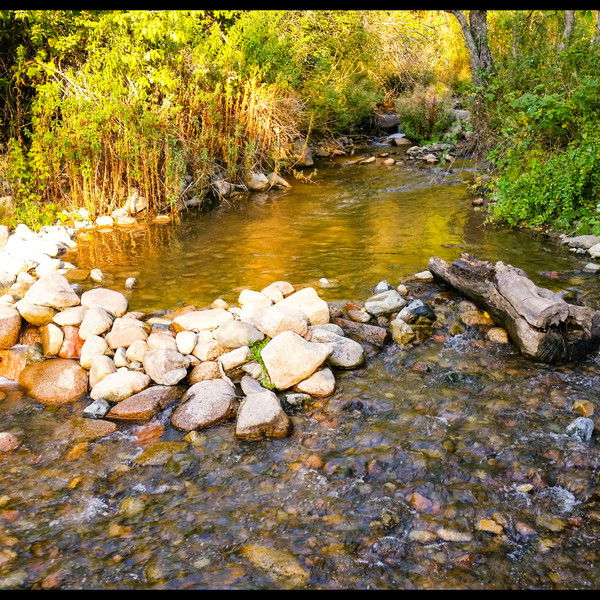 Михаил Тюрин