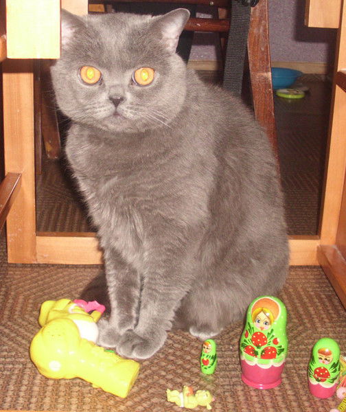 Елена Солдатова