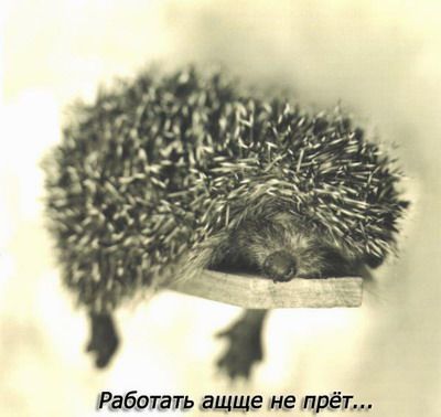 Ержан Султанов