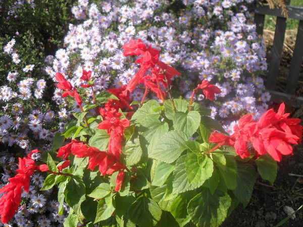 Валентина Чечельницкая