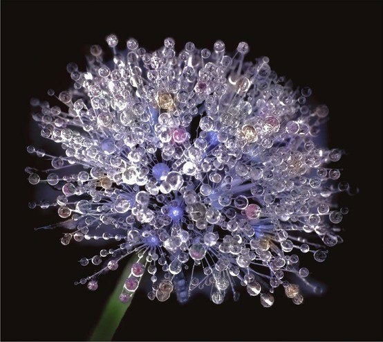 Екатерина Костянецкая