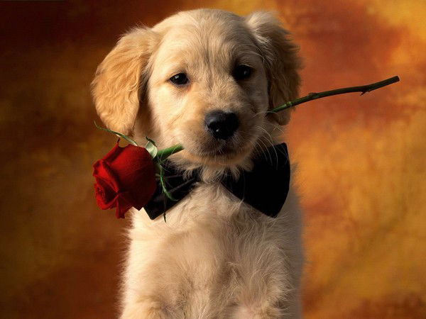 Гульсара Жуматаева