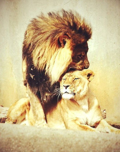 Мадина Мурадова