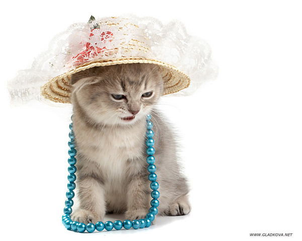 Светлана Коваль