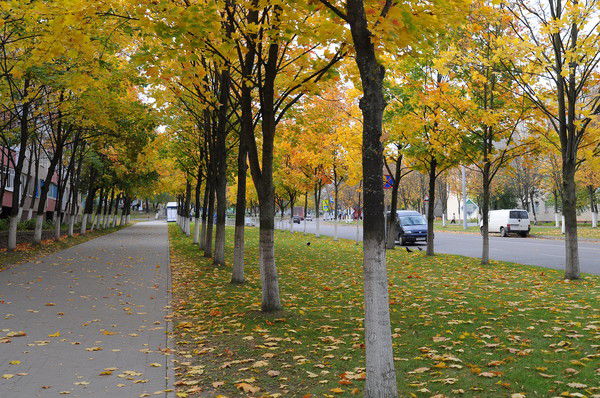 Любовь Григорьева