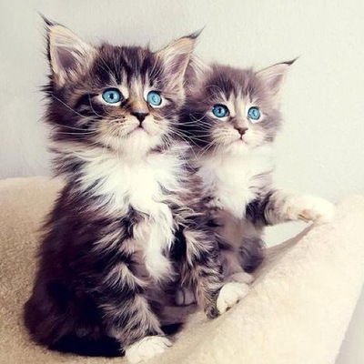 Полина Жильцова