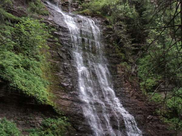 Никита Черных