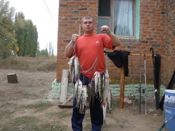 Артем Гаврилов