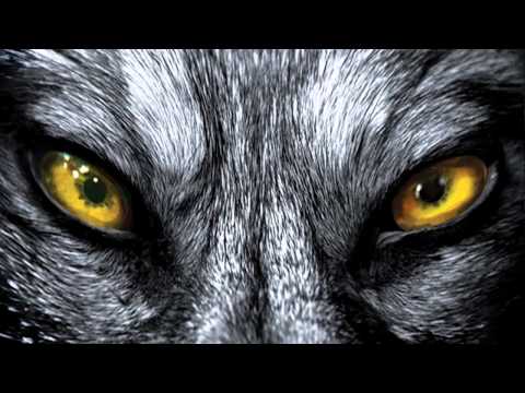 Олег Веселов