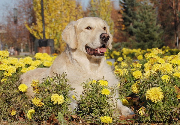 Ирина Цыганова