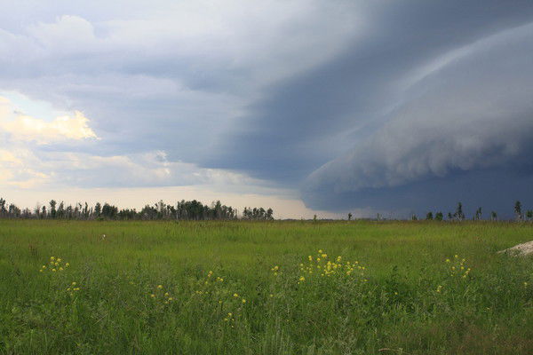 Елена Соловьёва