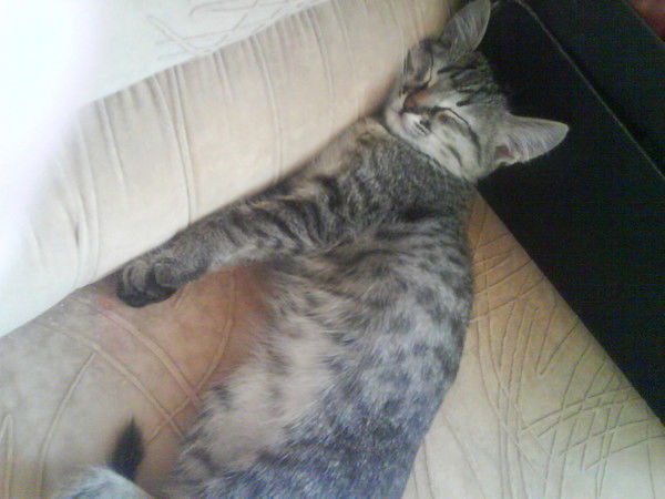 Анна Хамуева