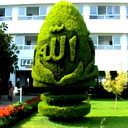 Нурбек Усенов