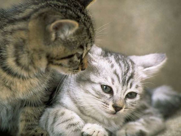 Фарида Ерпанова