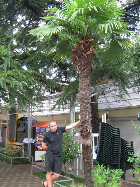 Андрей Радзевич