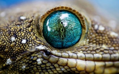 Илльмир Марданов