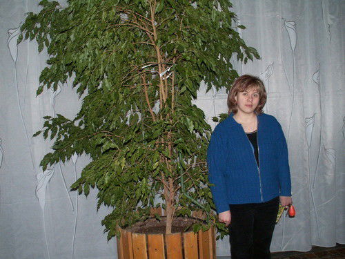 Надежда Хохлова