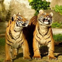 Наталья Опруненко