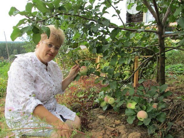 Елена Ахметзянова