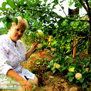 Елена Ахметзянова