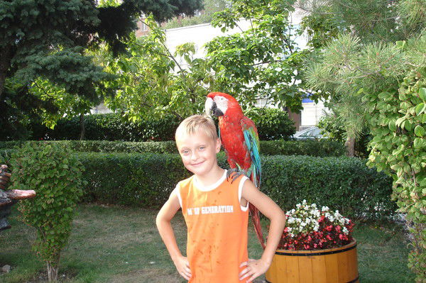 Кирилл Власов