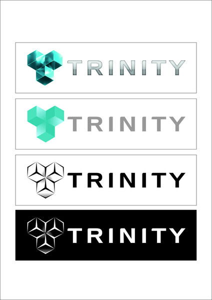 Тринити Со.лтд