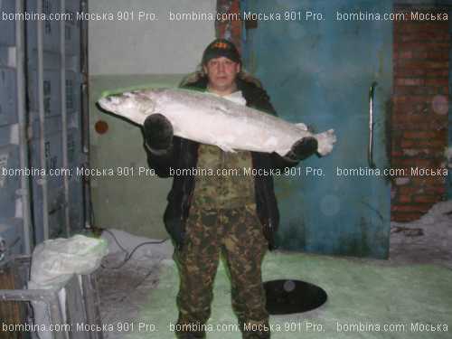 Сергей Капустин