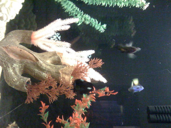 Никто Никто