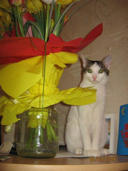 Евгения Богданова