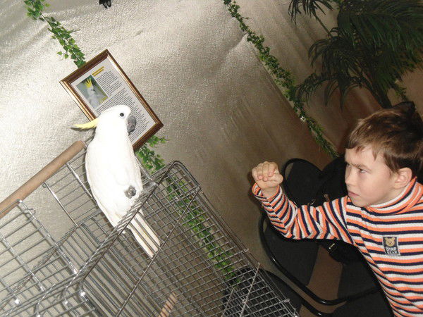 Толик Кузнецов