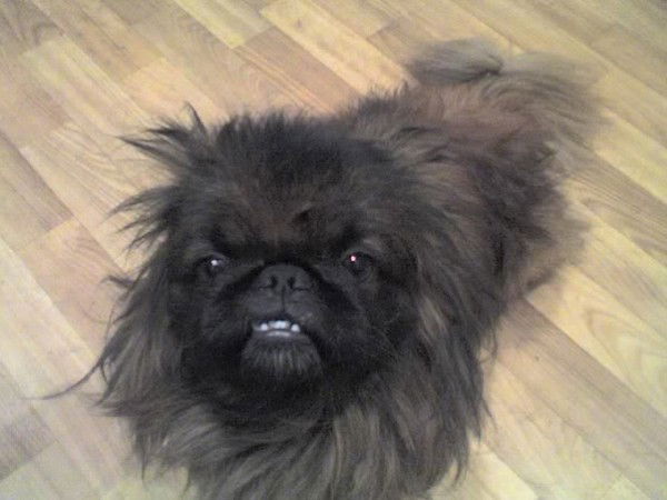 Анна Лукина