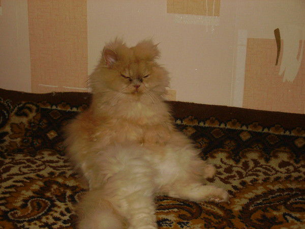 Жанна Смиян