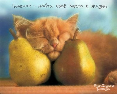 Светлана ********