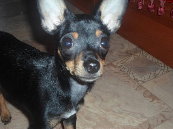 Любовь Маркелова