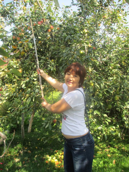 Гульмира Жомартова