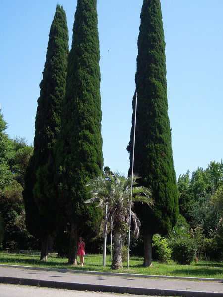 Олеся Шатских