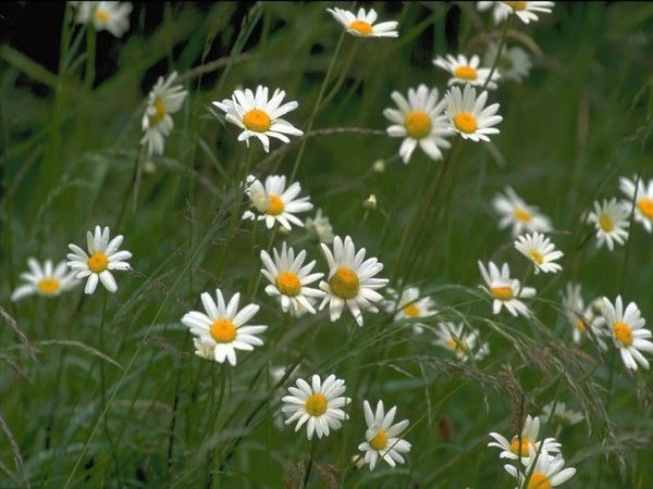 Наталья Малинская