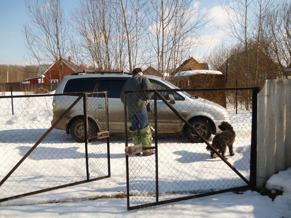 Владимир Шопыгин