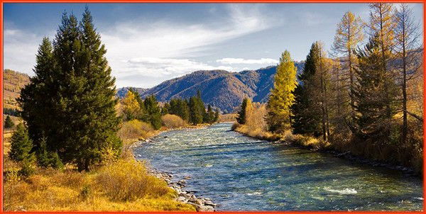 Немцев Владимир