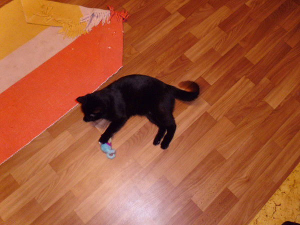 Алексей Виноградов