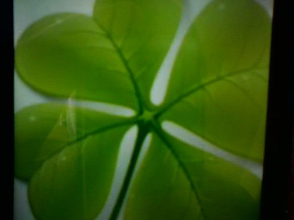 Бауржан Суханов